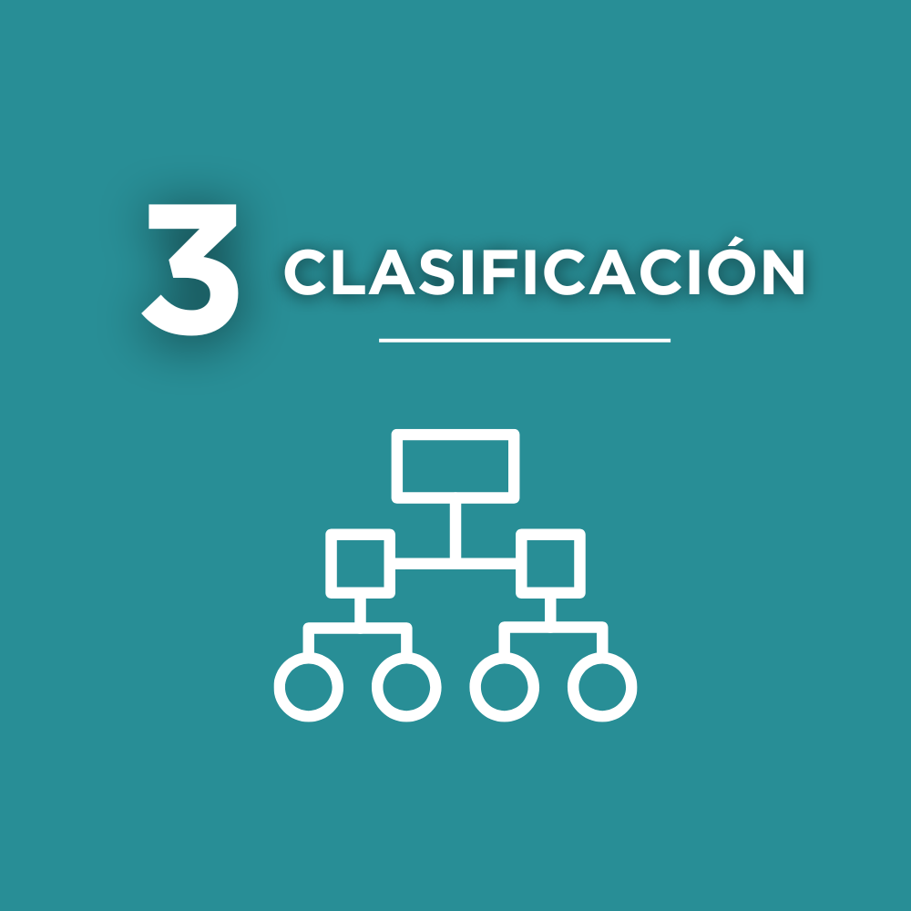 Clasificación